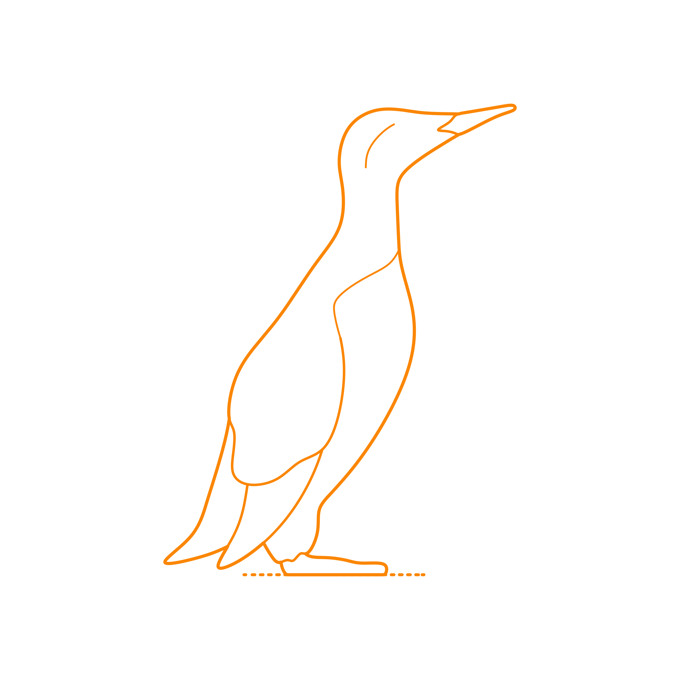 Animals Seabirds Common Murre Editable Svg Line Art Free Vectors